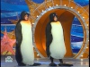 Пингвины из Перми