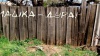 Надпись на заборе "Машка - дура!" - первый твит