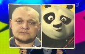 Михаил Стогниенко похож на медвежонка Панда, Команда КВН Плохая компания