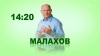 новое шоу Геннадия Малахова